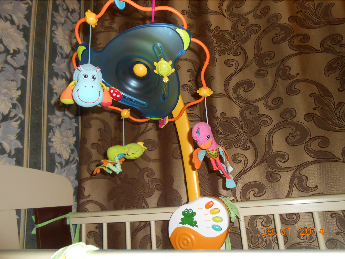 DSCN0699.jpg