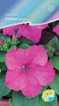 Петуния ЛИМБО роуз NEW! _12,80+%