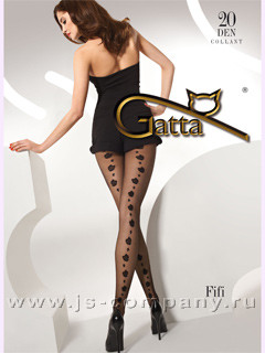 GATTA FIFI 19 - 64 .