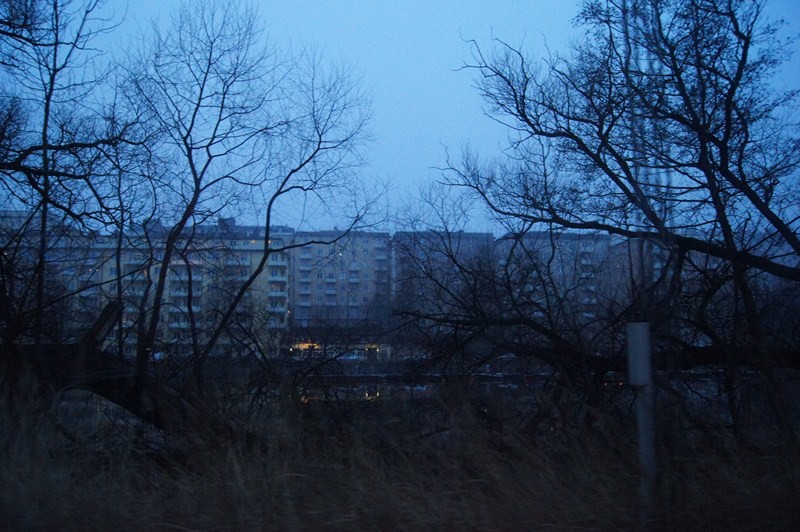 DSC05801 ().jpg