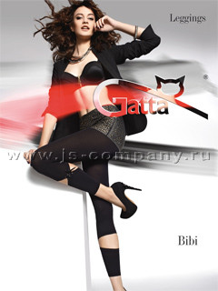 GATTA BIBI 02 - 293,97 .