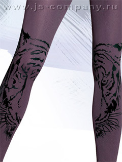 GATTA COLLY ANN 17 - 253,11 .