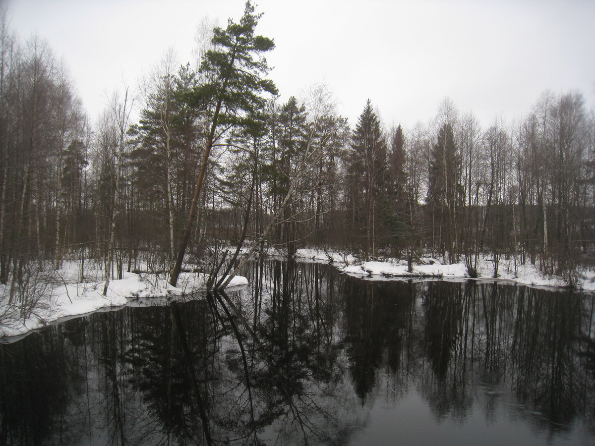 IMG_5913.JPG