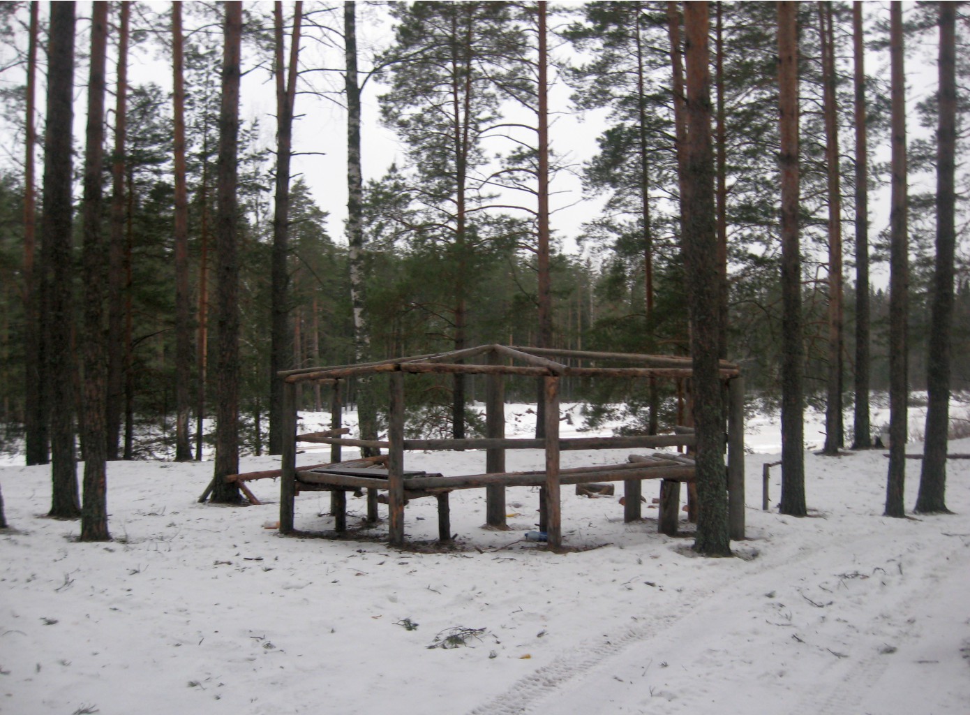 IMG_1704.JPG