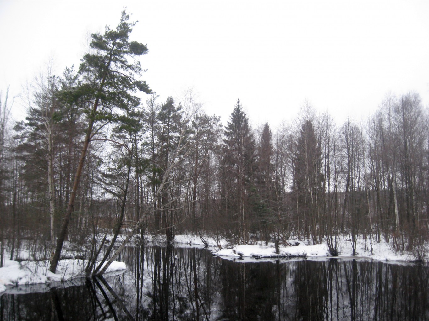 IMG_1736.JPG