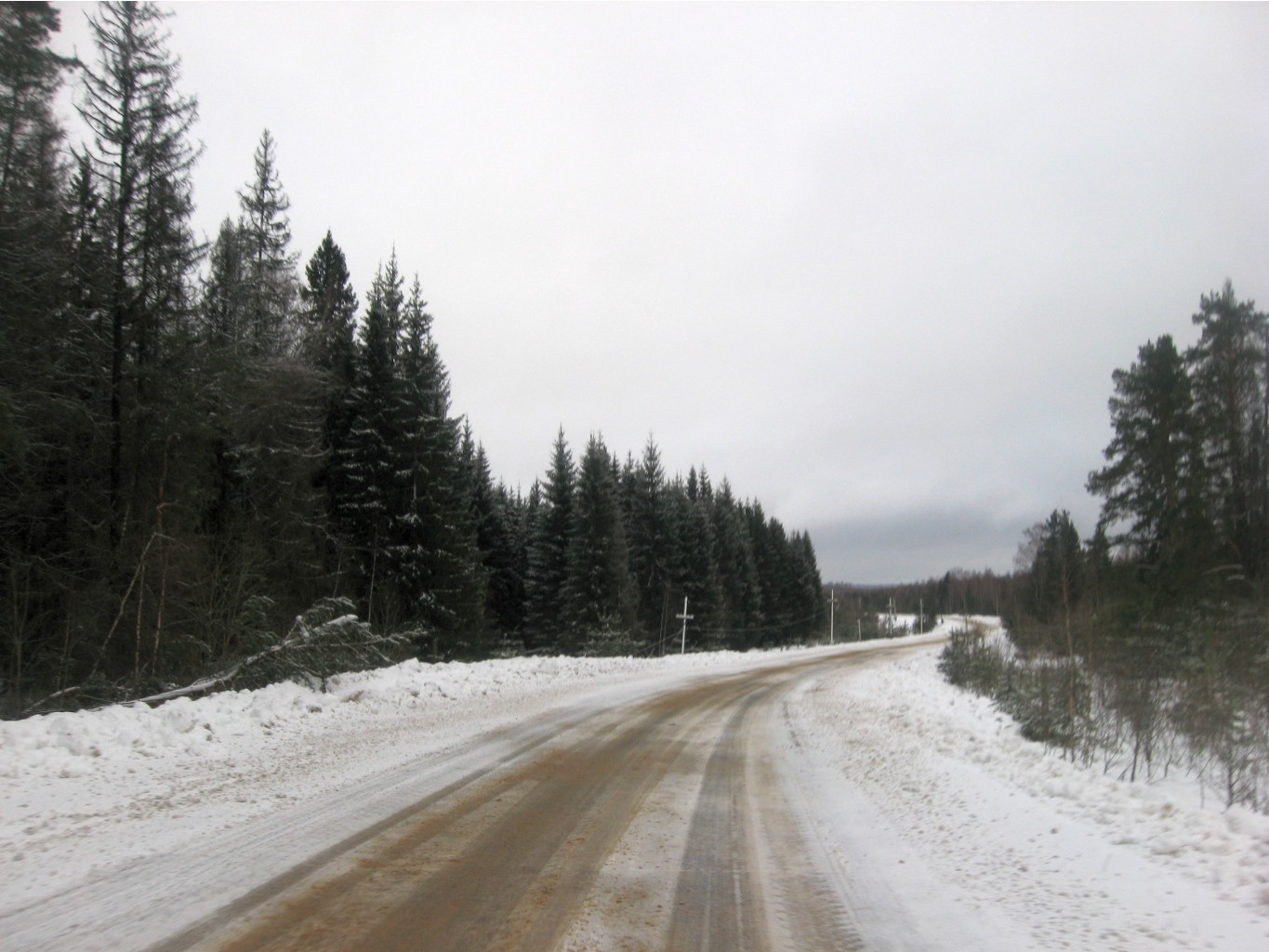 IMG_1764.JPG