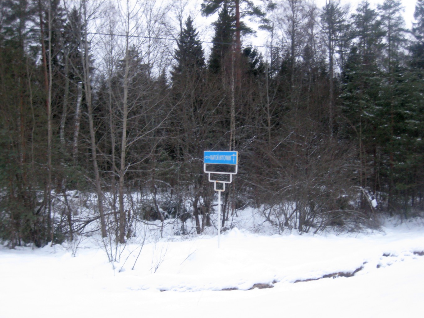 IMG_1777.JPG