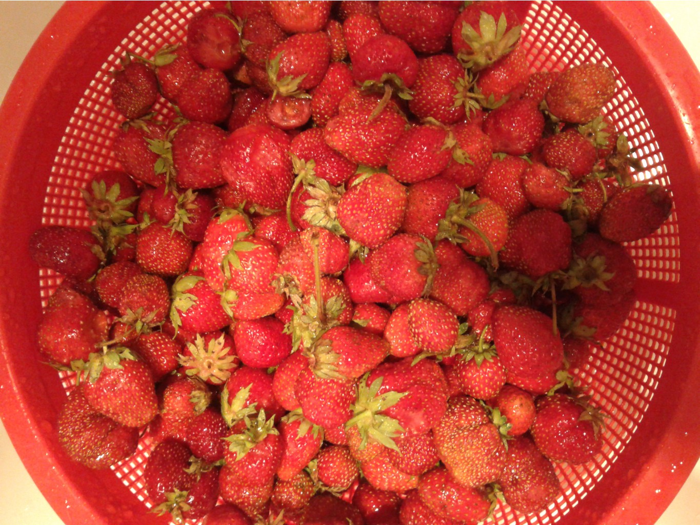 20120625_201945.jpg