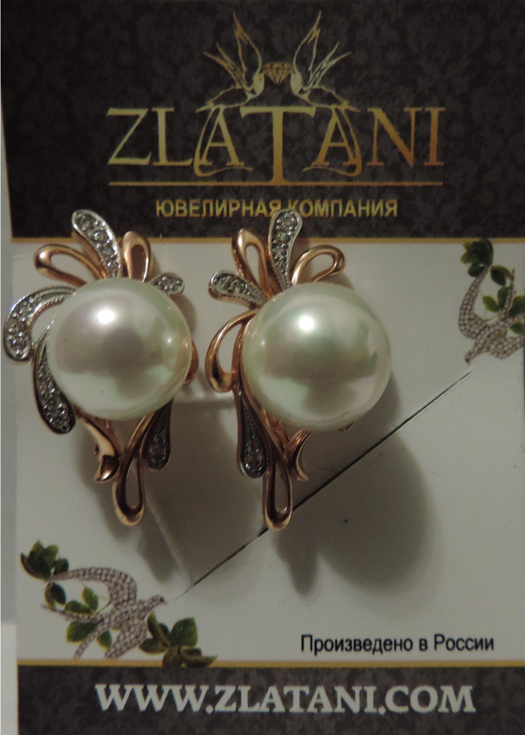 DSCN0364.JPG