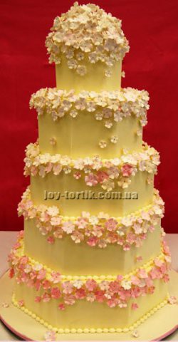 phoca_thumb_l_big-cake757 copy.jpg