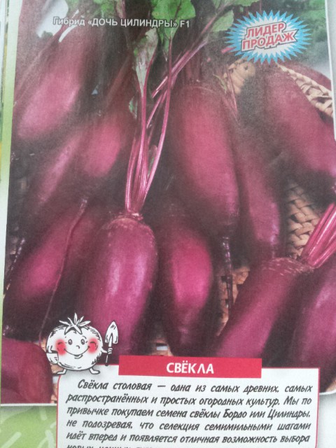 свекла дочь цилиндры.jpg