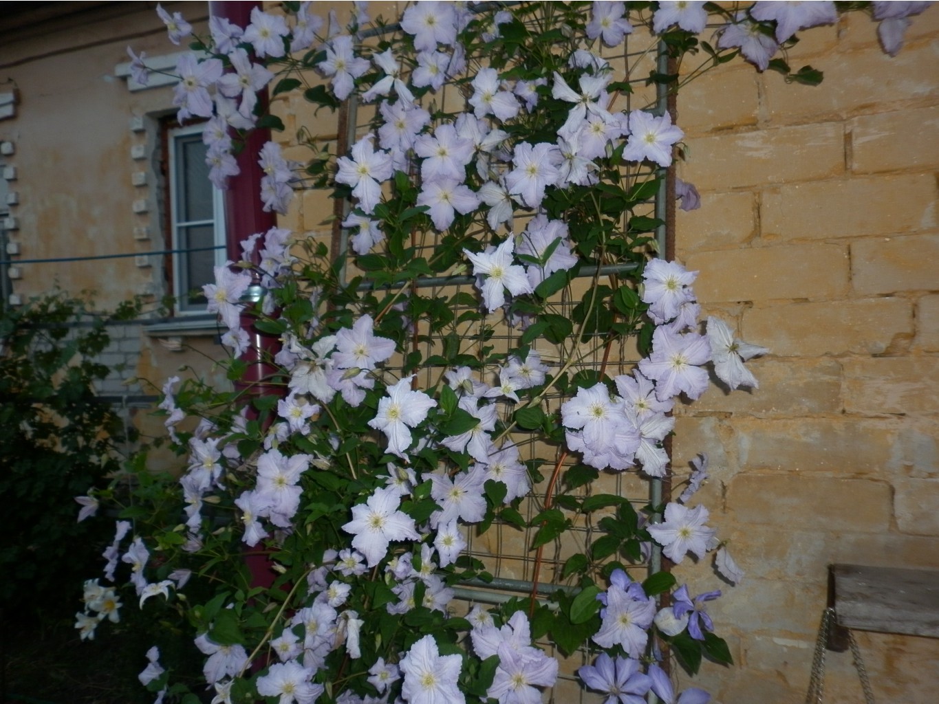 P1010234.JPG