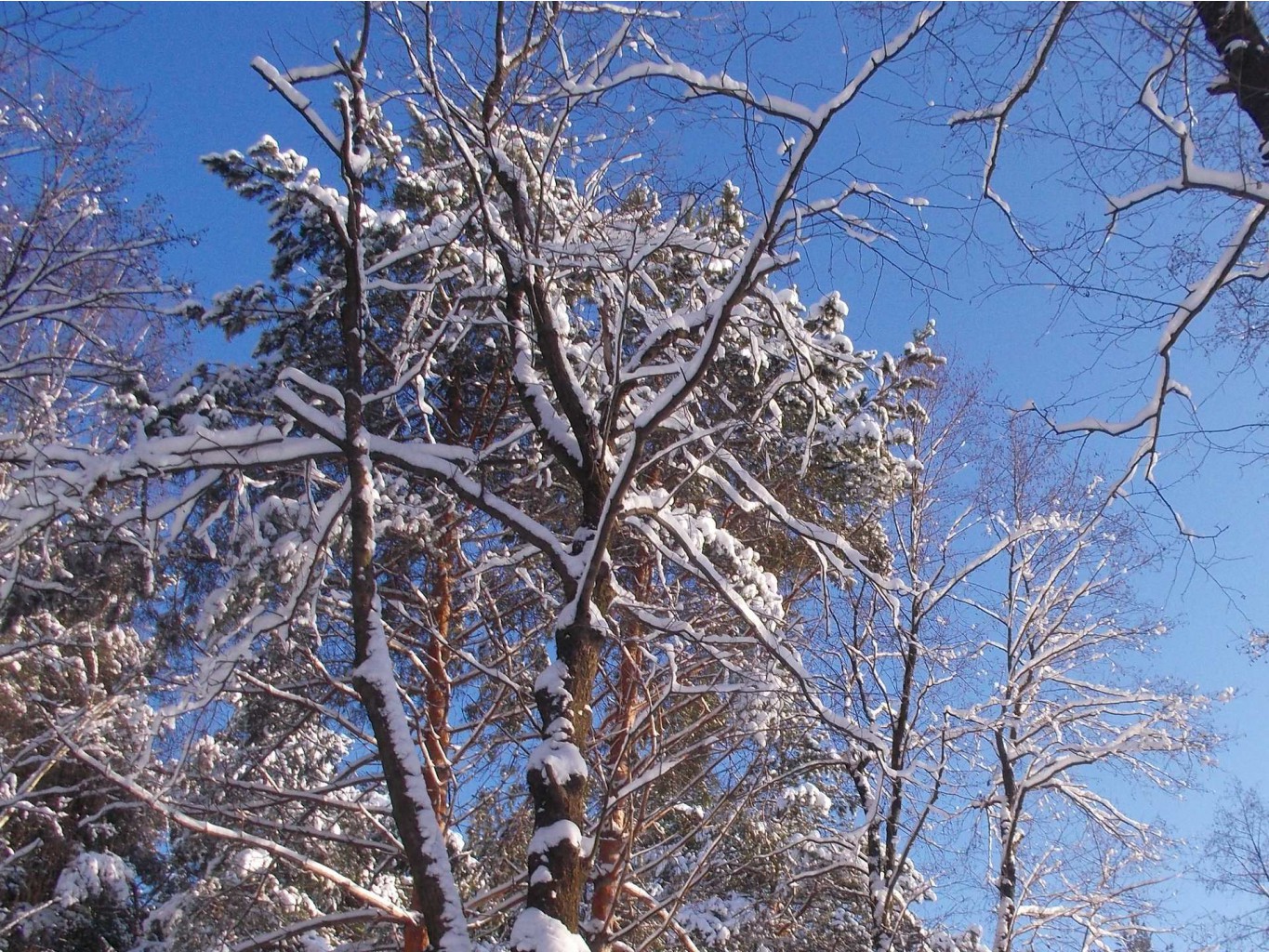 2014-01-19_14.14.57_cr.jpg