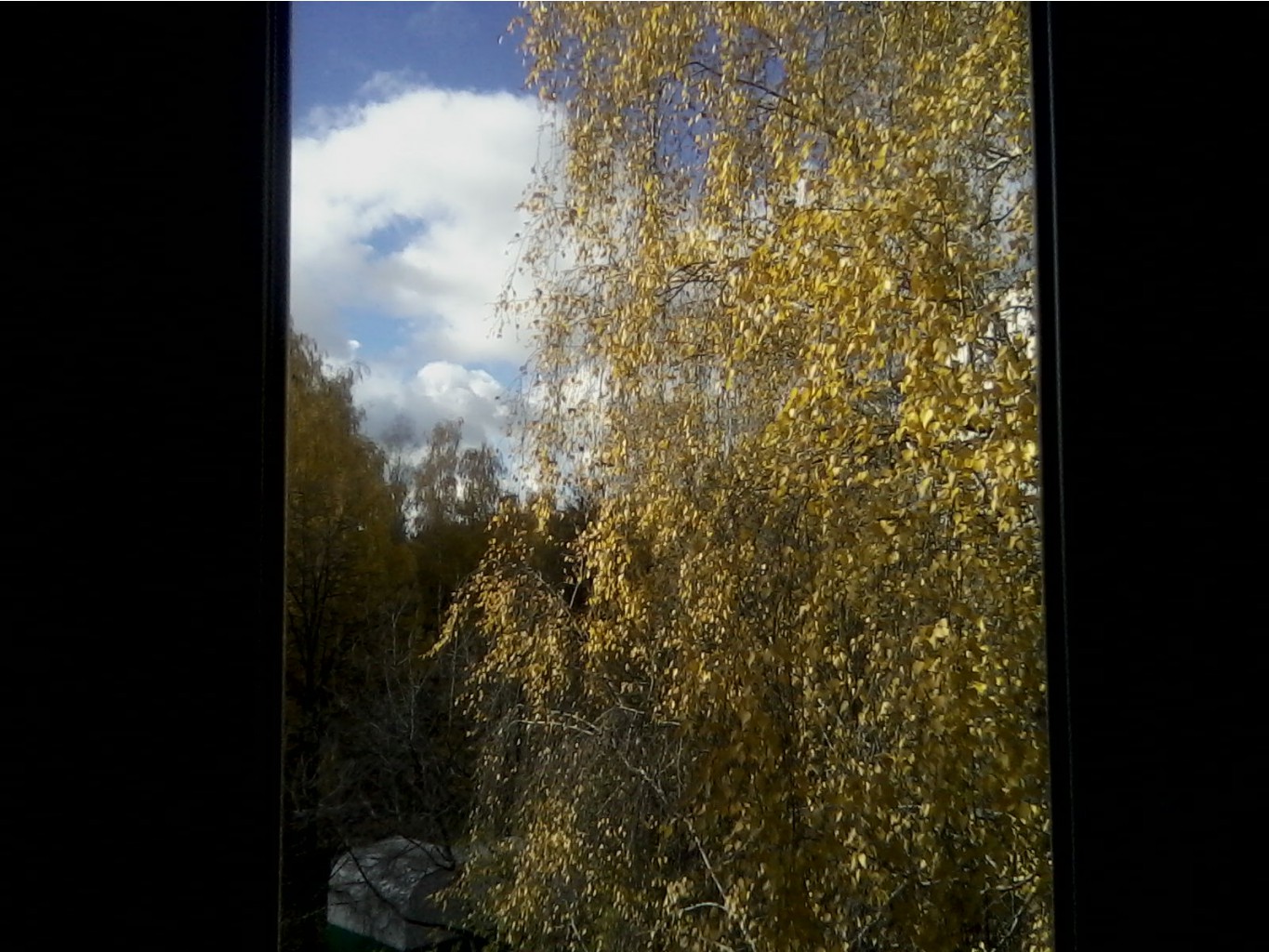 P12-10-13_11.45.jpg