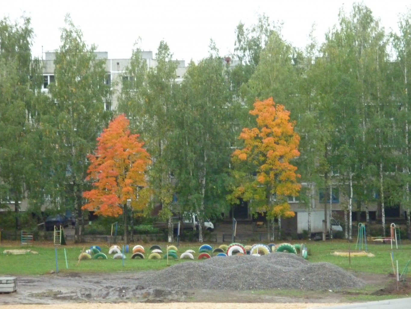 P1000121.JPG