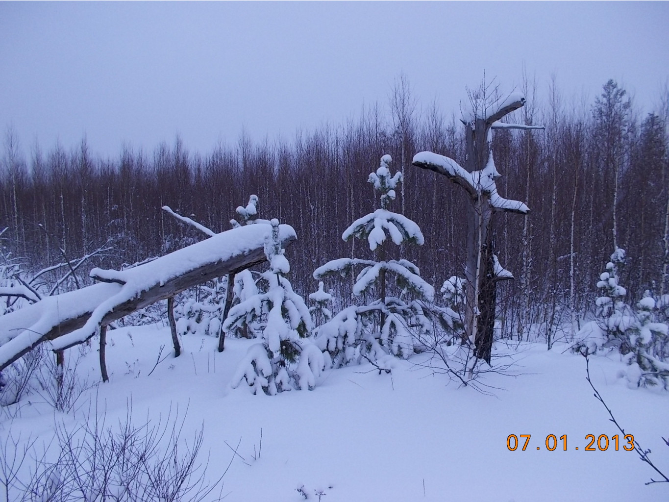 DSCN0990.JPG