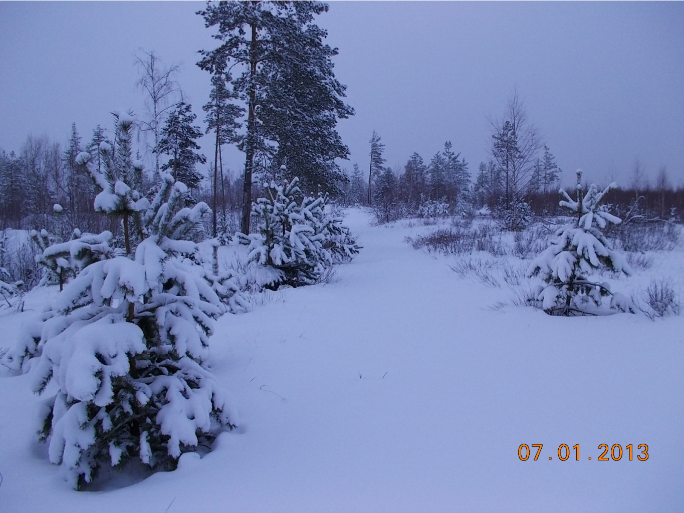 DSCN0991.JPG