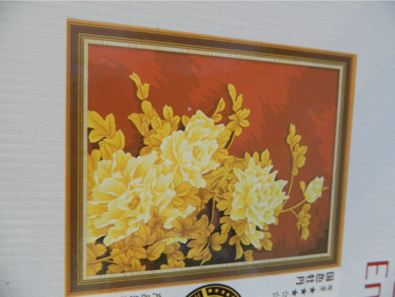 DSCN2258.JPG