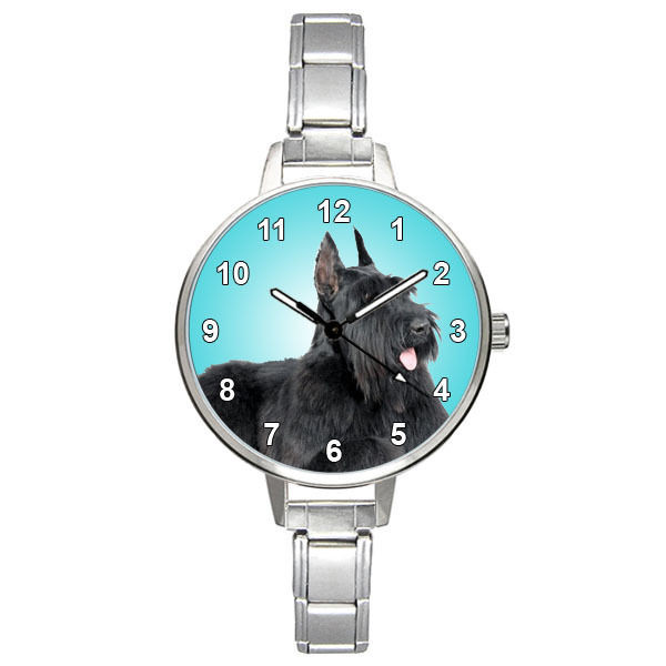 kgrhquokpyfikf1ijs-bsjjn-3cnw603.JPG