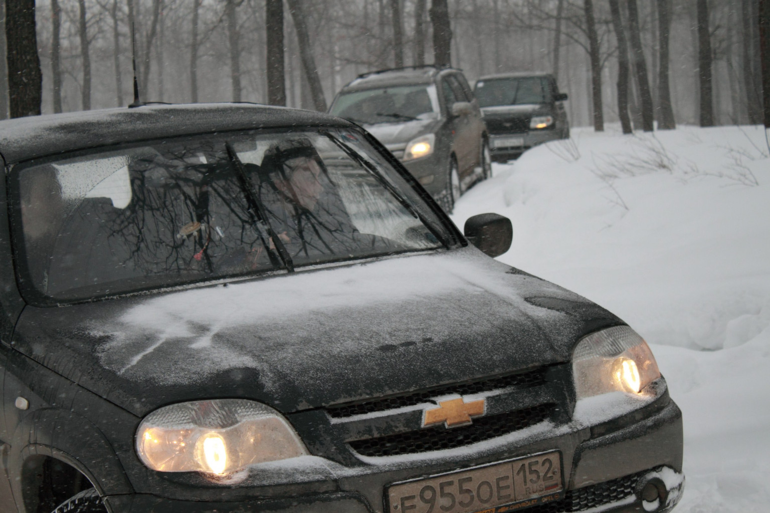 _MG_9355 (Копировать).JPG
