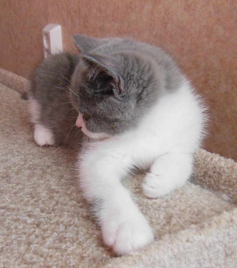 DSCN5917.JPG