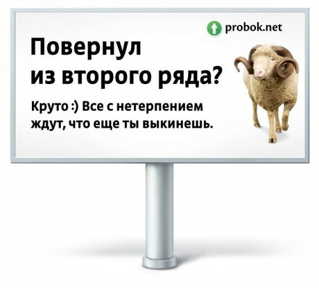 27499.jpg