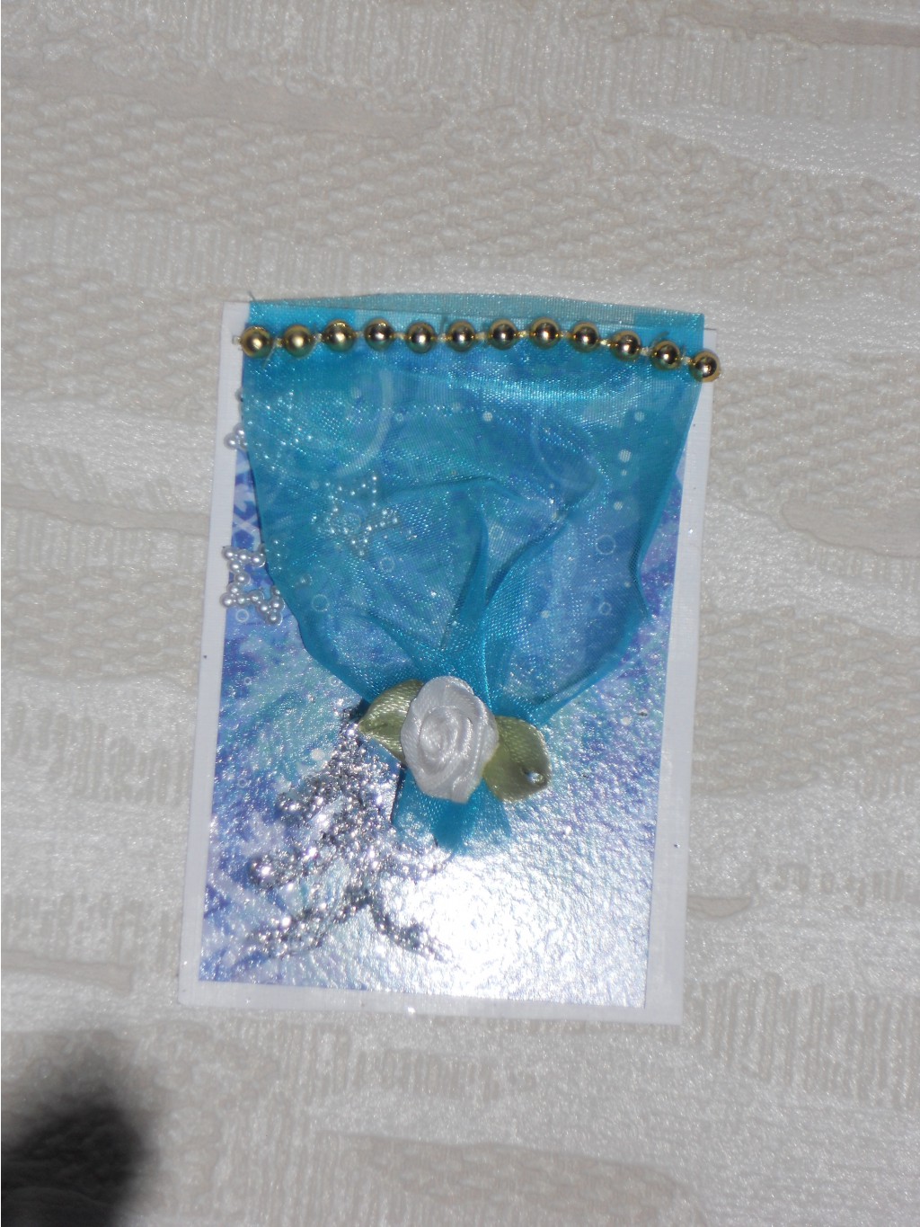 DSCN3968.JPG