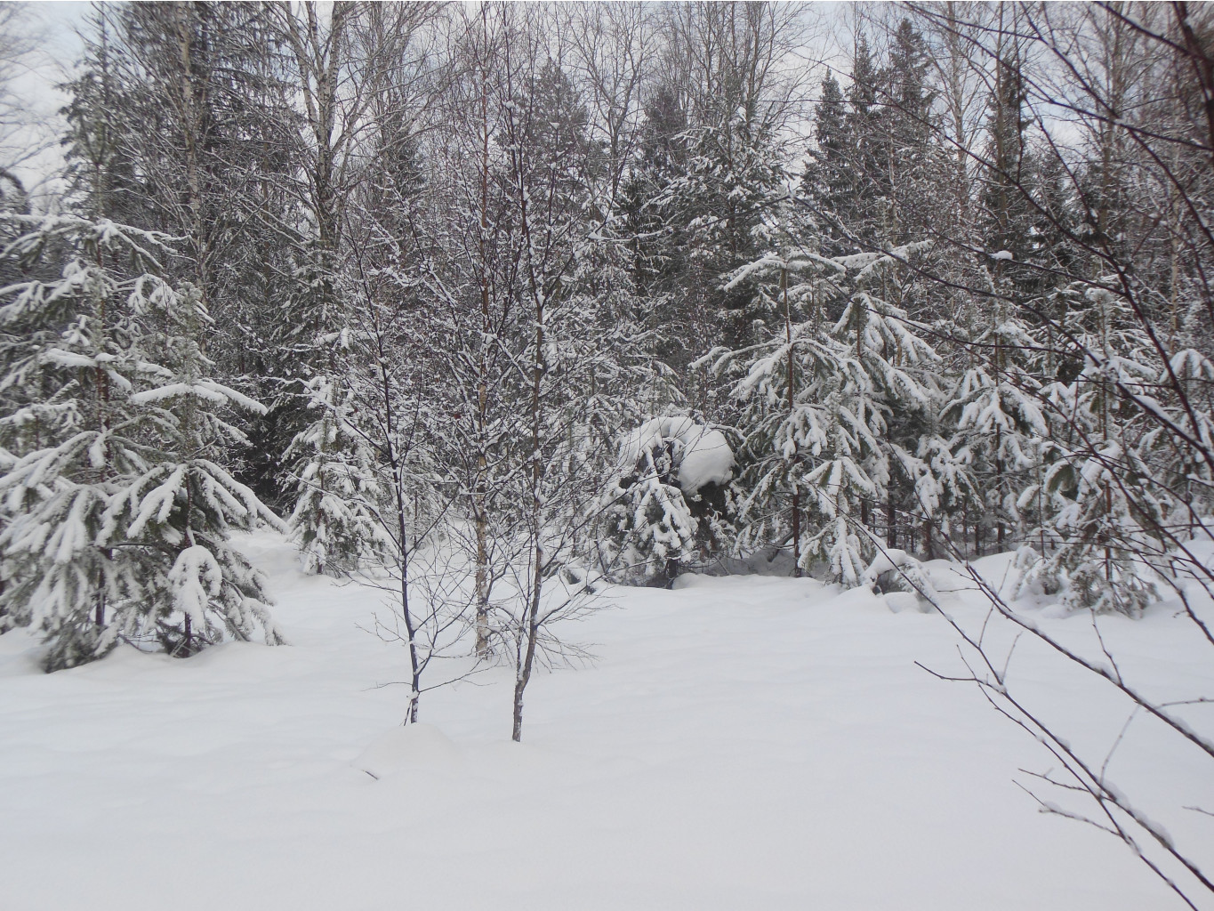 DSCN1049.jpg