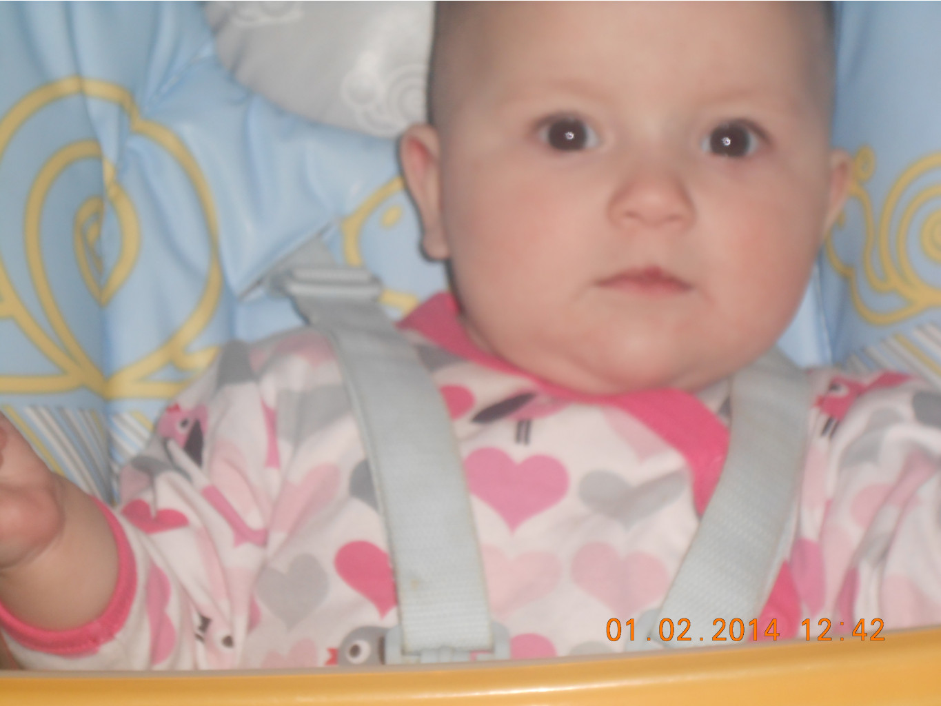 DSCN0643.JPG
