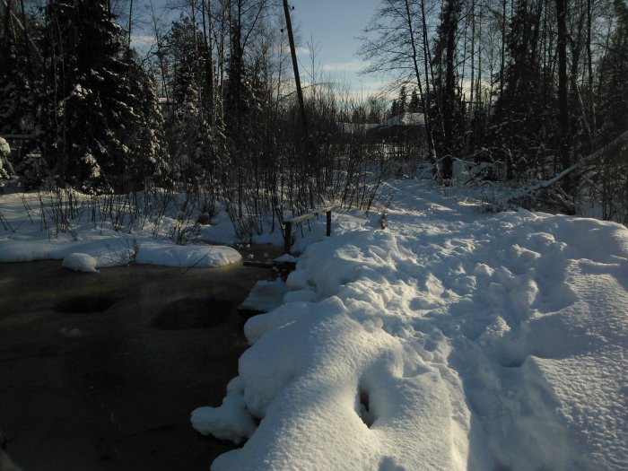 11955977.WP_000487.jpg