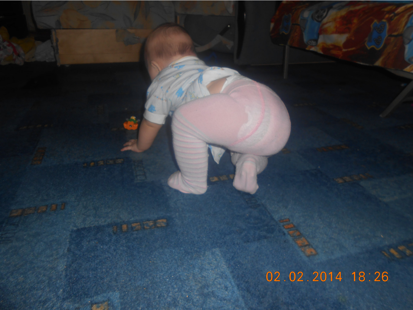 DSCN0667.JPG