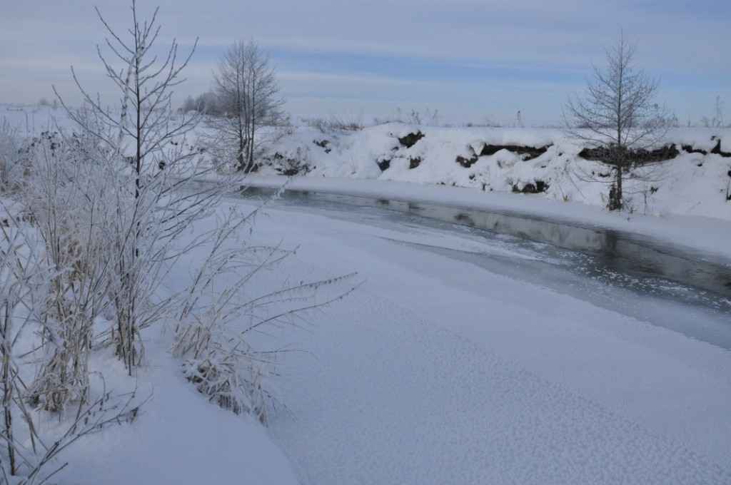 DSC_0091.JPG