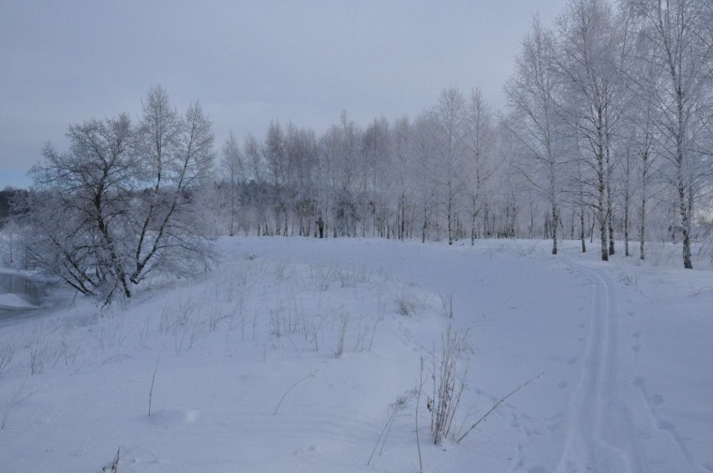 DSC_0097.JPG