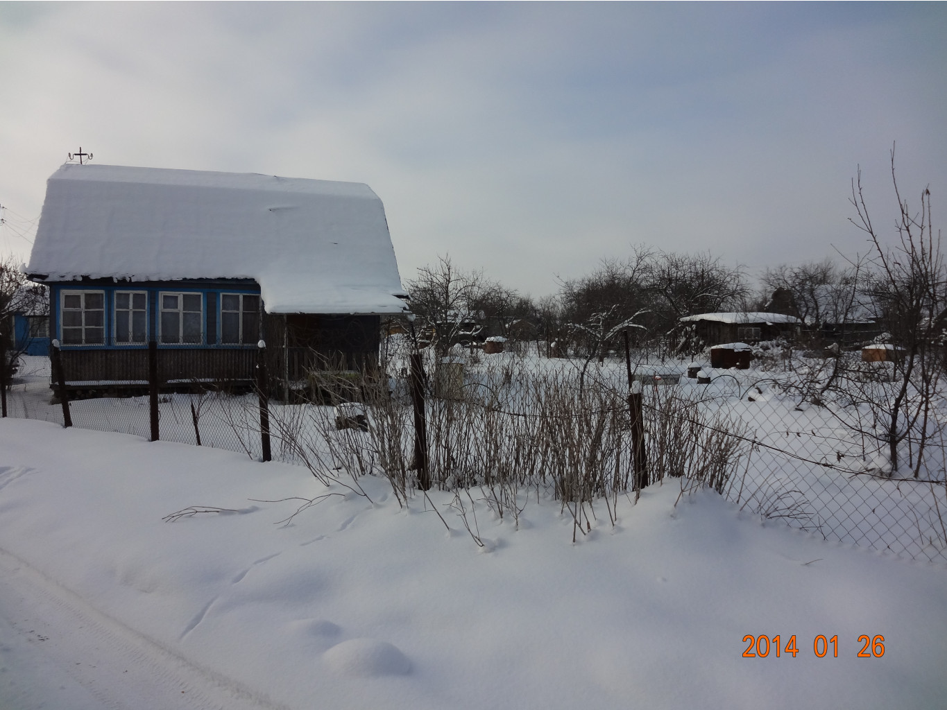 DSC02560.JPG