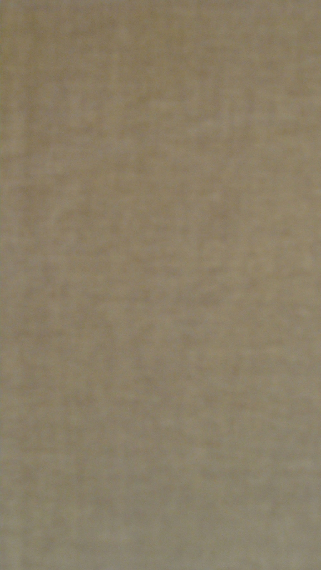 315.JPG