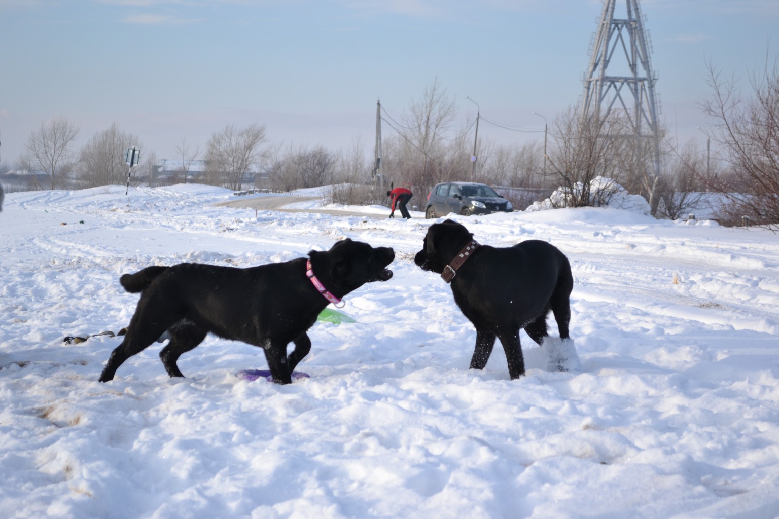 DSC_0617.JPG