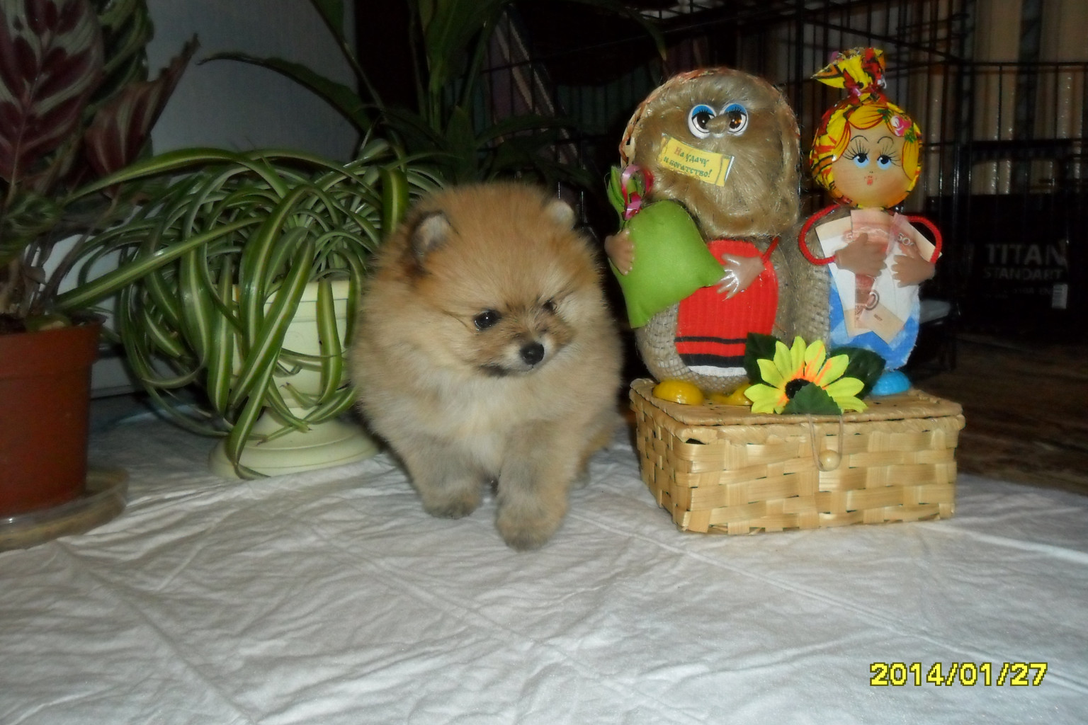 SAM_2143.JPG