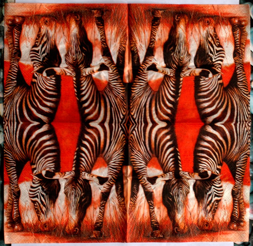 zebra.jpg