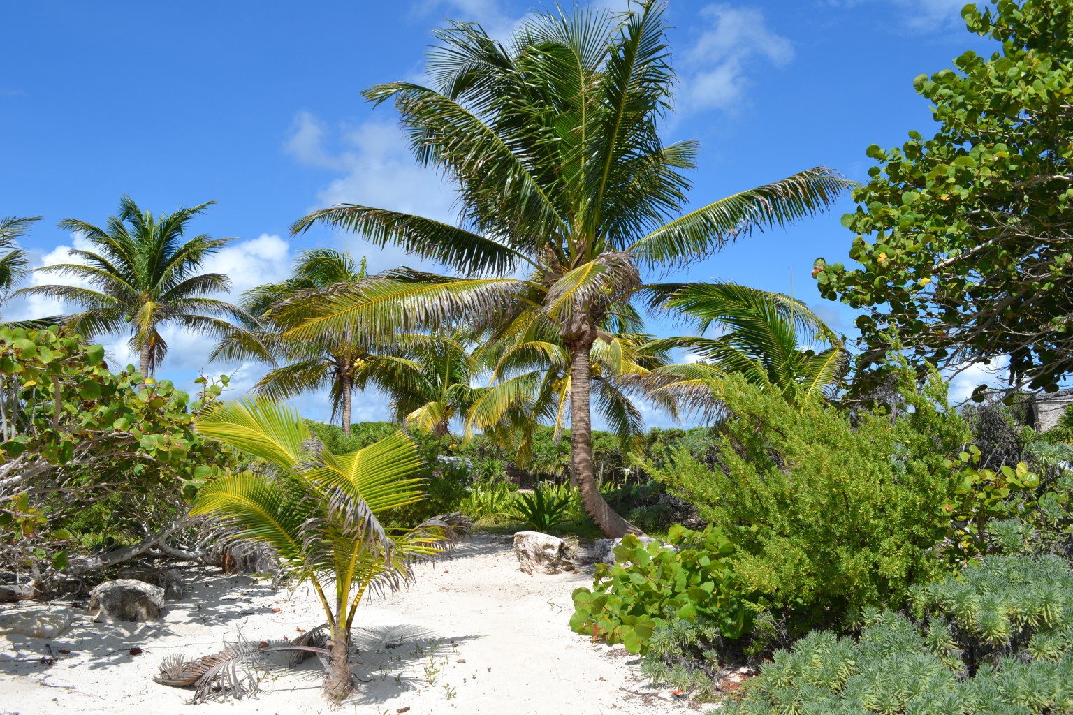 DSC_3419.JPG