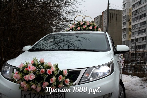 fG2pN7p5k5Y.jpg