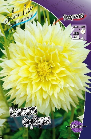 9984389_dahlia-canary-fubuki.jpg