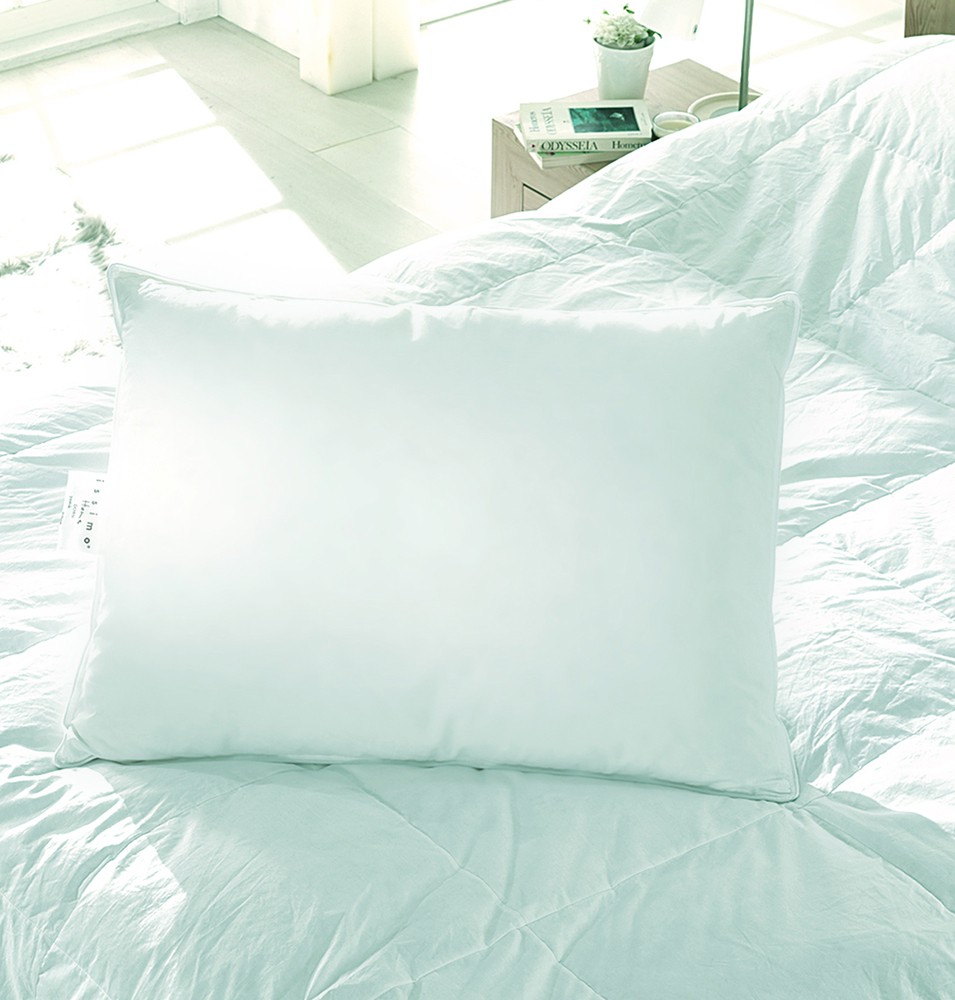 GOOSE DOWN PILLOW, 5070,    , 5%  , 100%  , 1100 