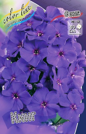 9987815.Phlox_The_King.jpg