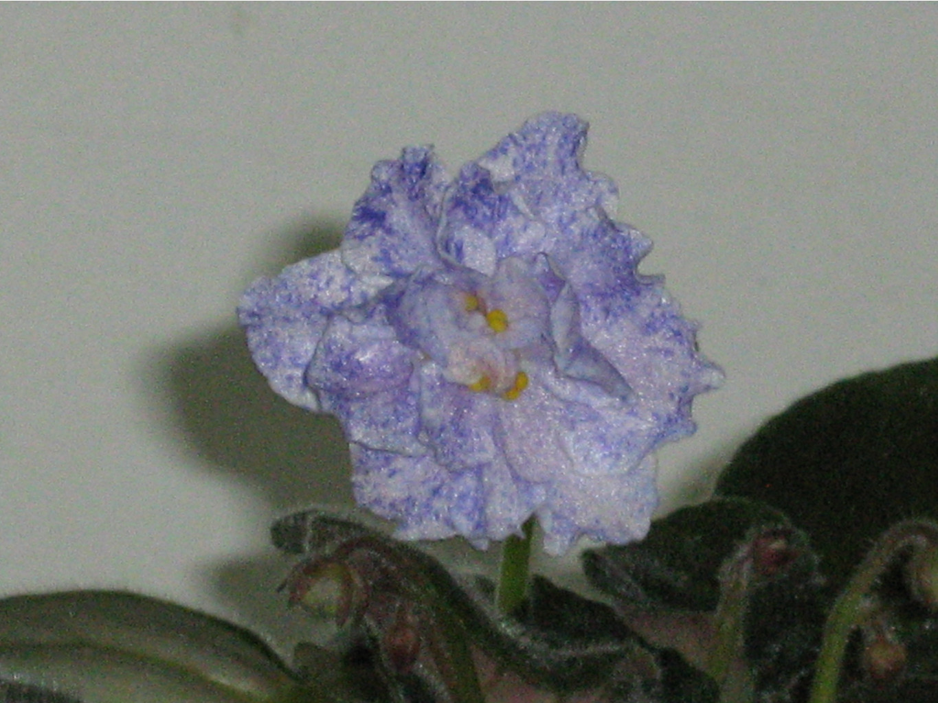 20.05.2010 20:29:45