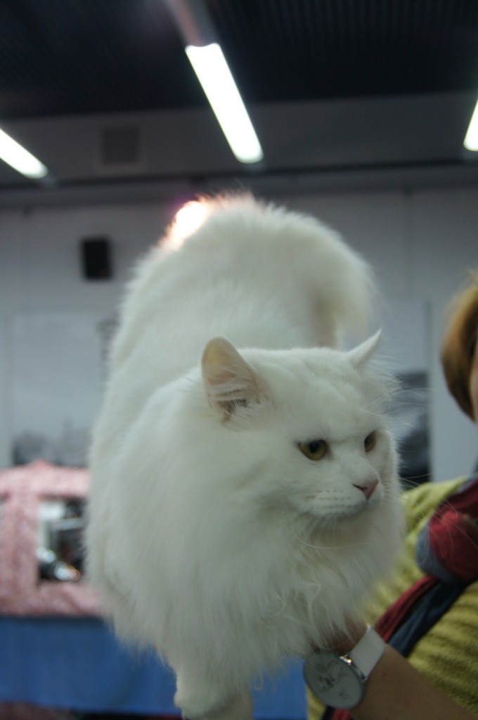 dsc01757.JPG