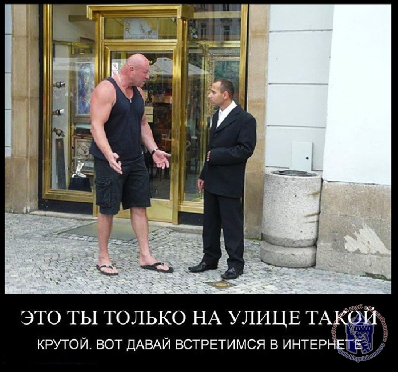 -2.jpg