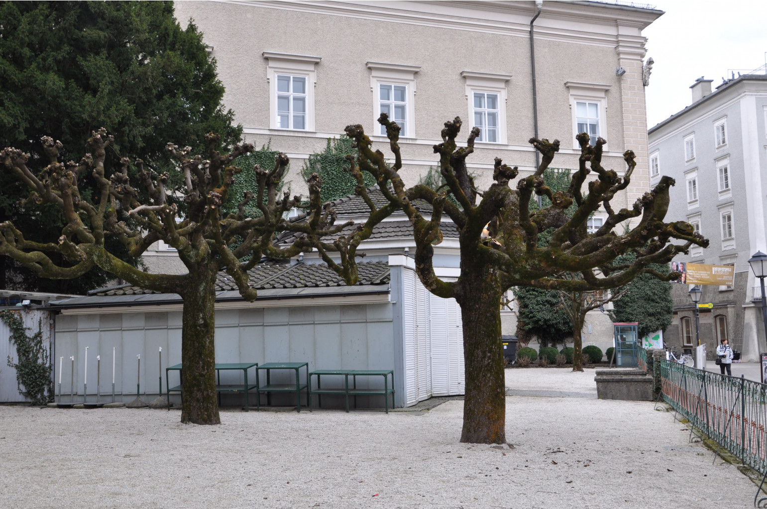 DSC_5817.JPG