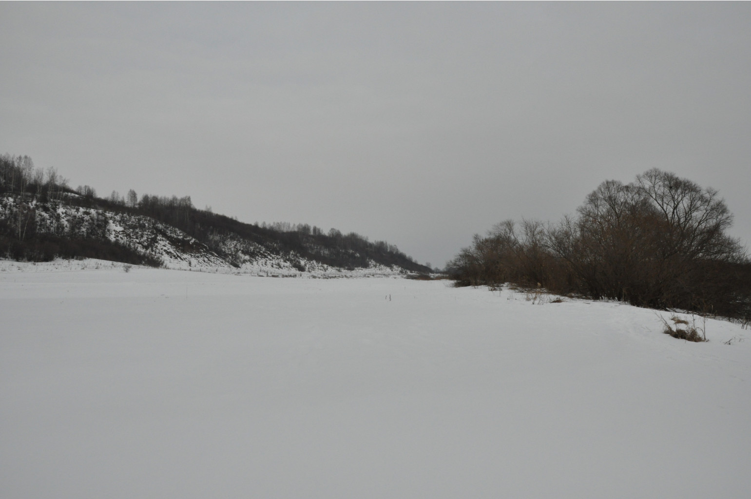 DSC_1068.JPG