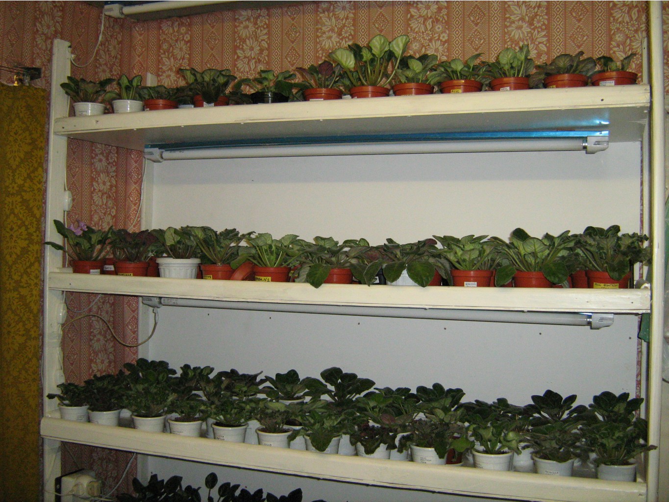 21.05.2010 12:26:09