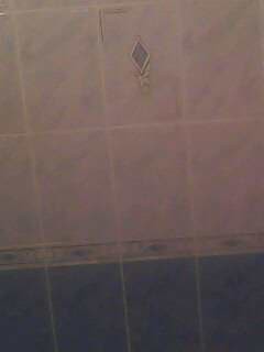 IMG0289A.JPG